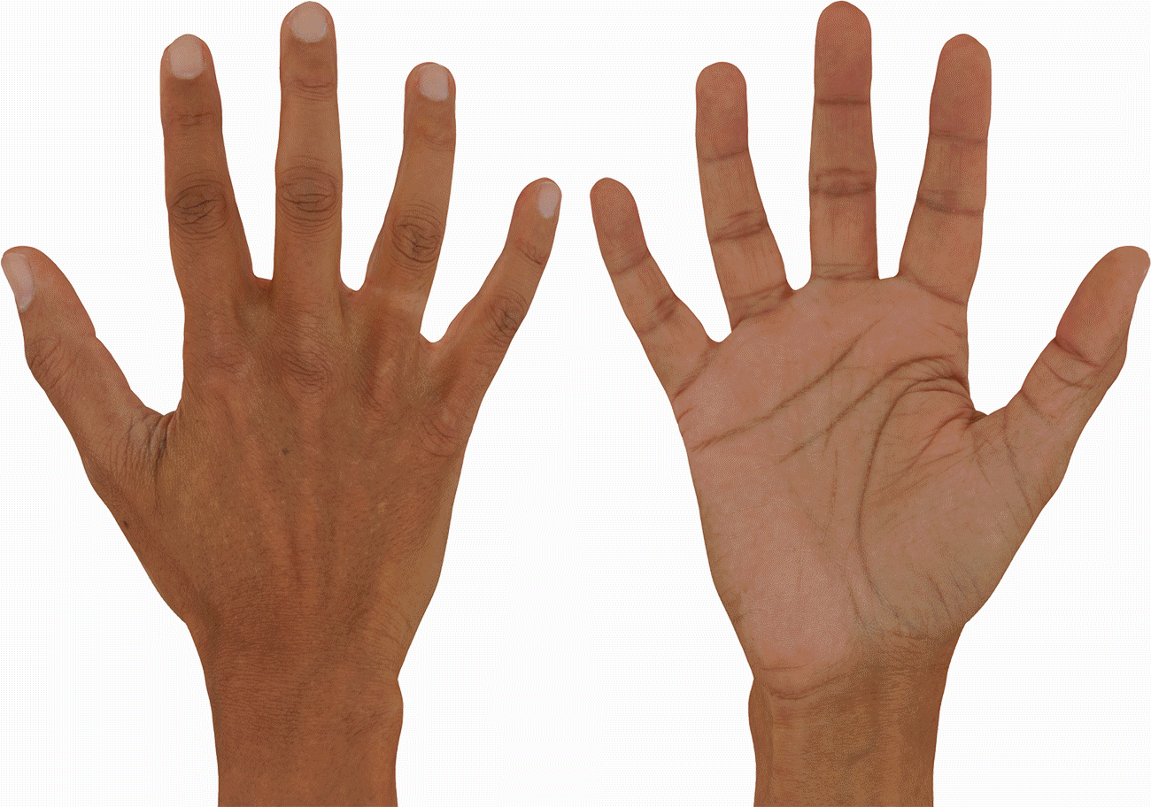 3D Hand Model Topology